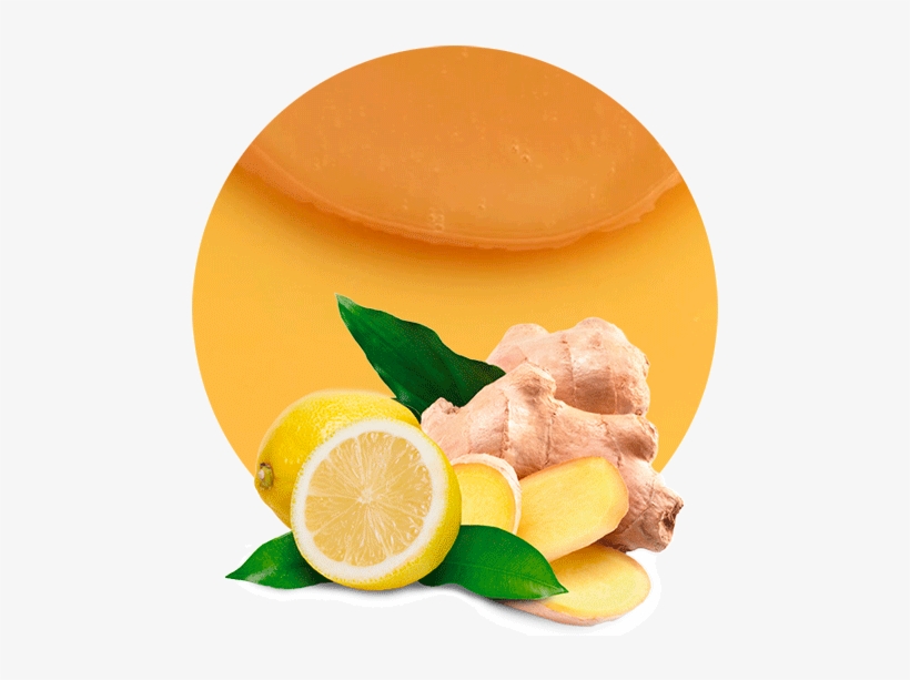 Com/wp And Ginger Concentrate 1 - Remedios Para Artritis Reumatoide, transparent png download