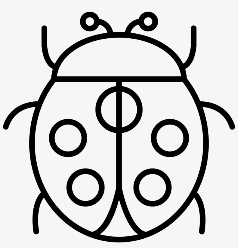 Png File Svg - Ladybird Beetle, transparent png download