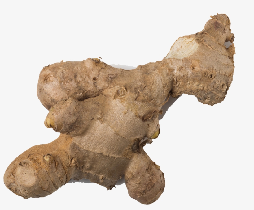 Ginger Transparent Background - Greater Galangal, transparent png download