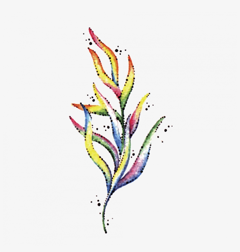 Seaweed - Floral Design, transparent png download