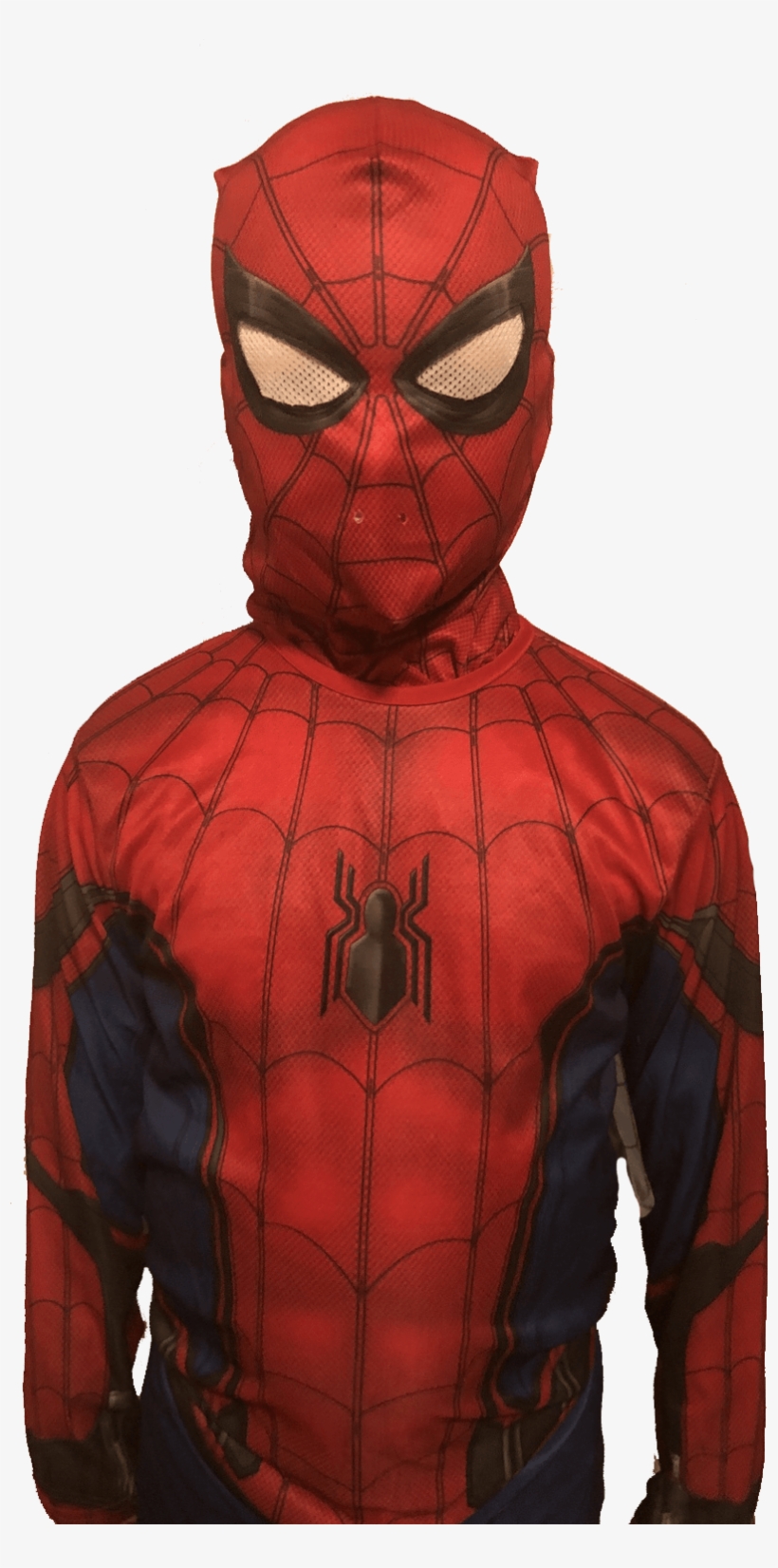 Spider-man, transparent png download