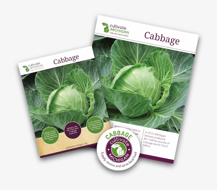 Gingered Cabbage Slaw - Collard Greens, transparent png download