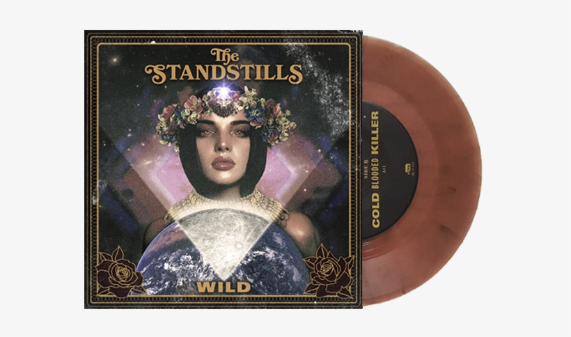 Vinyl Png, transparent png download