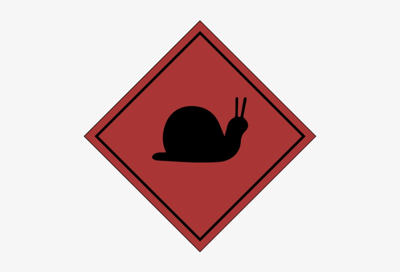 Lymnaeidae, transparent png download