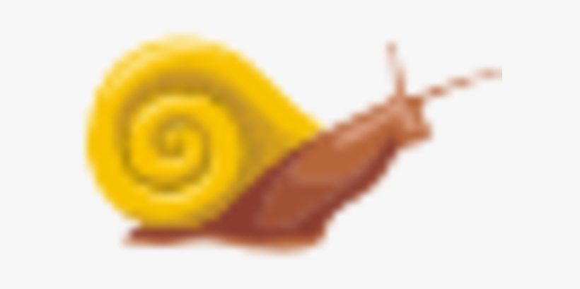 Small - Lymnaeidae, transparent png download