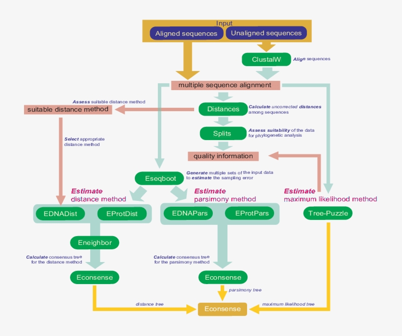 Program Flow In Path - Diagram, transparent png download