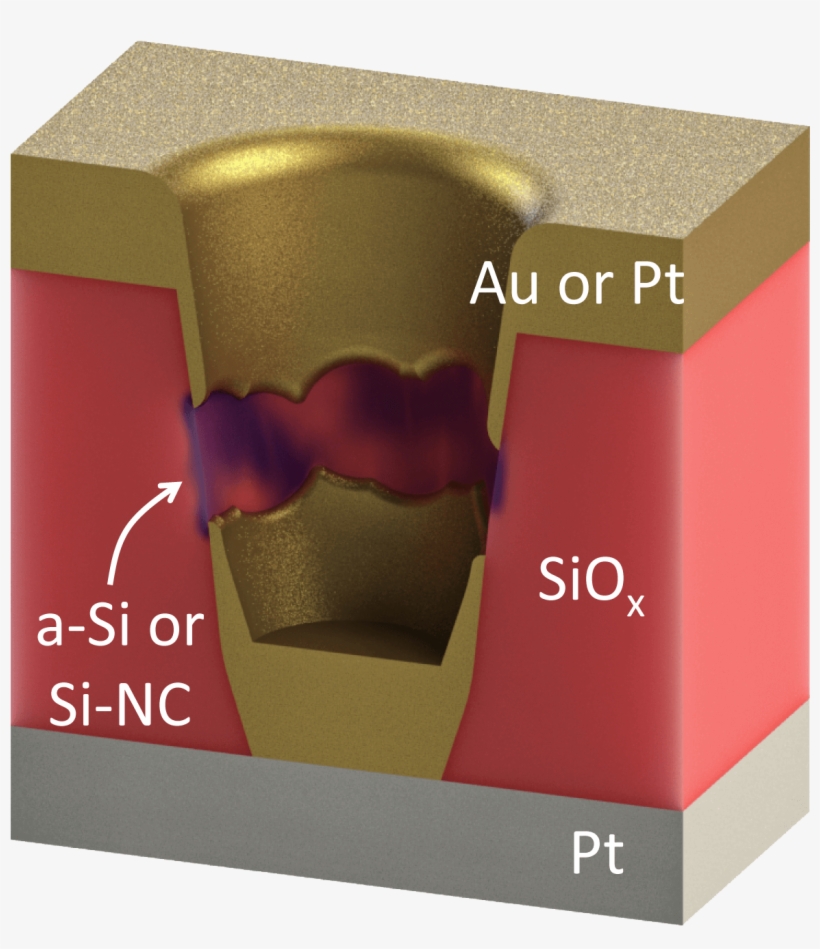 0710 Tour Path Lg - Perfume, transparent png download