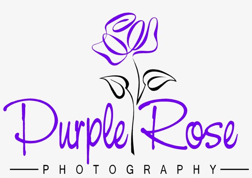 Purple Rose Png, transparent png download