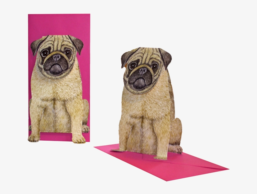 3d Pug Card, transparent png download