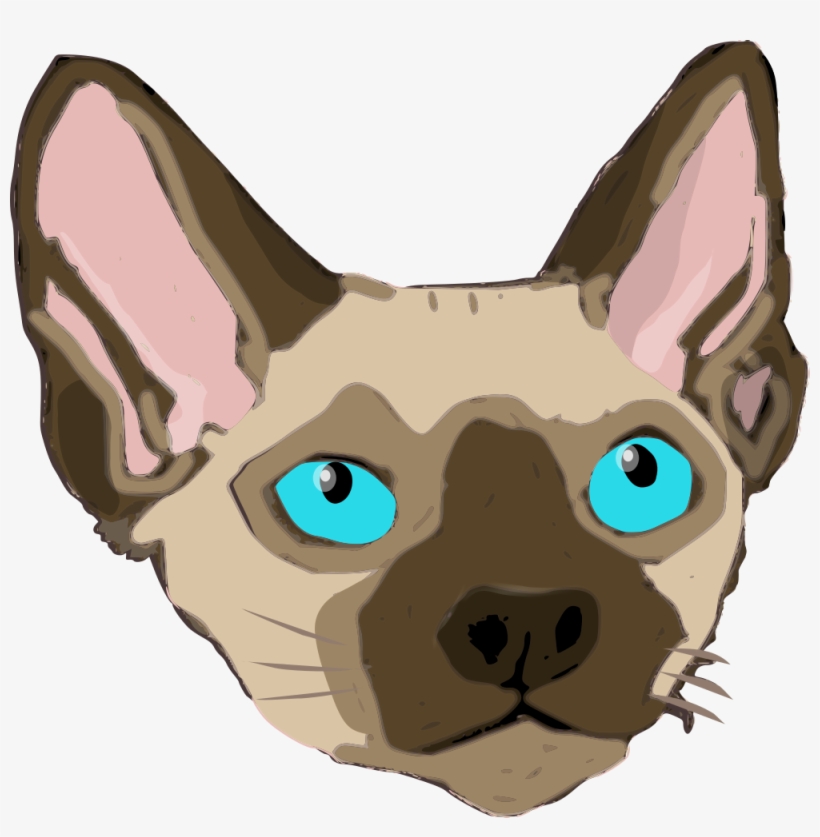 Devon Rex - Animal Grande Tamaño Orejas Grandes Y Orejas Grandes, transparent png download