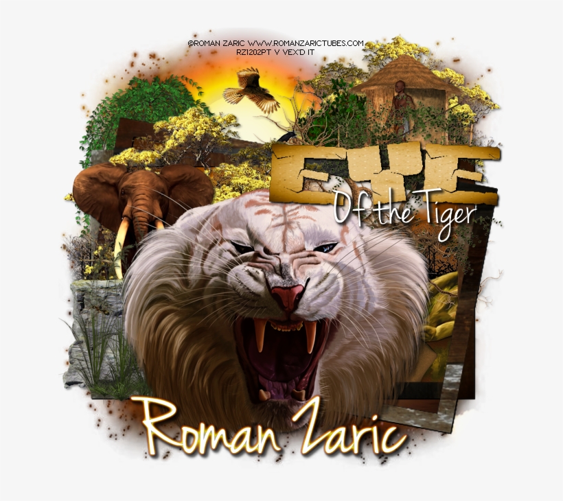 White Tiger Tag & Free Wordart - Poster, transparent png download