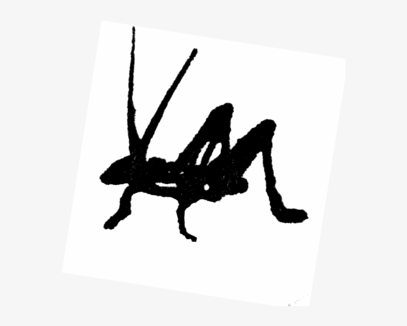 Gander Exo Cricket@2x - Illustration, transparent png download
