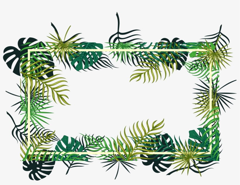 Tropical Vector Ornament - Green Box Backgrounds Png, transparent png download