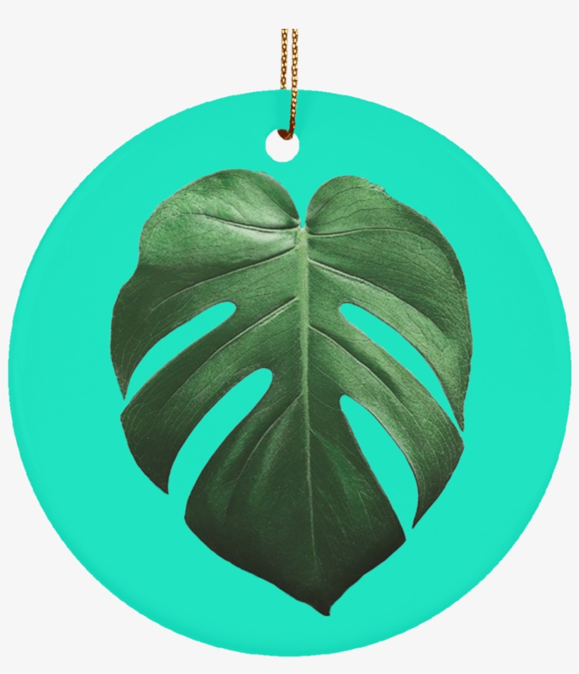 Monstera Deliciosa Ceramic Tropical Leaf Ornament - Swiss Cheese Plant, transparent png download