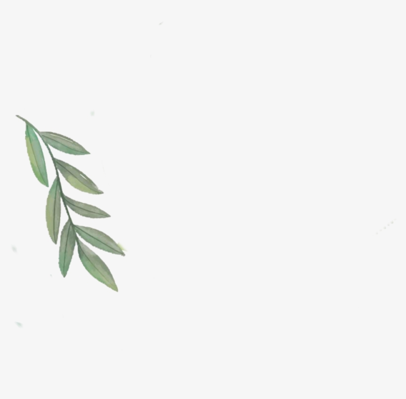 #tropical #leaf #freetoedit - Morella Cerifera, transparent png download