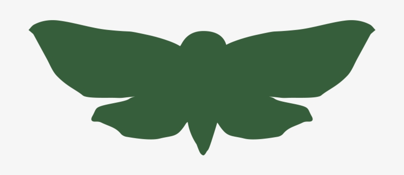 Moth Png, transparent png download