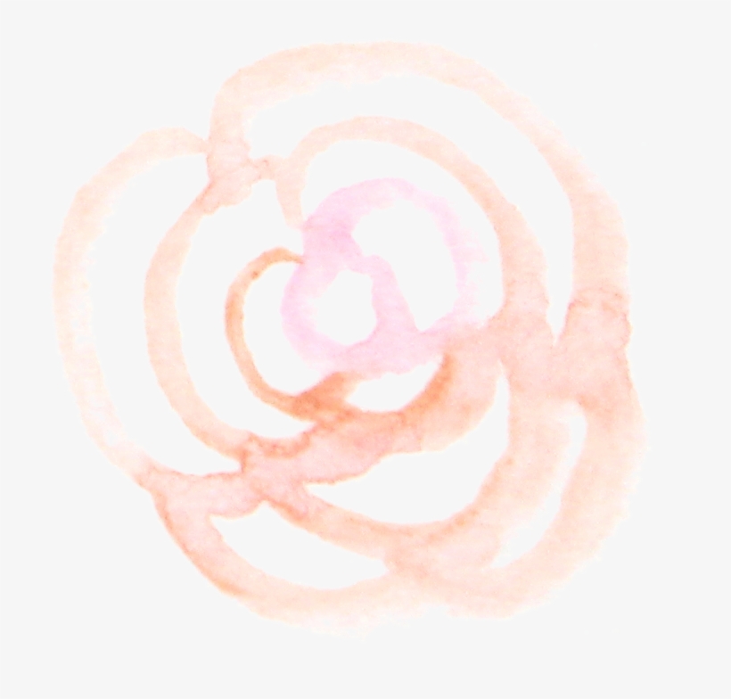 Among Our Most Popular Services Is Photography For - Red Onion, transparent png download