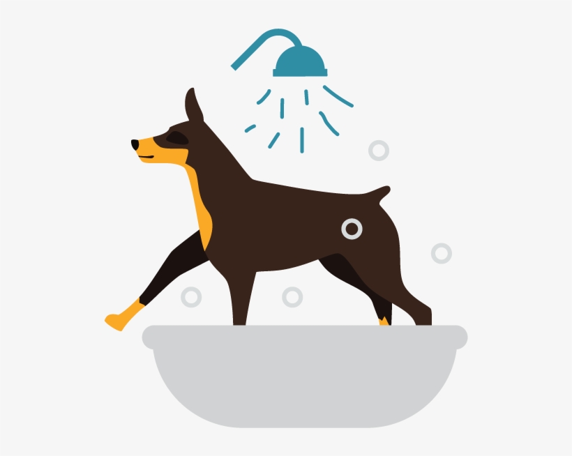 Groomadmin Didi2016 04 23t00 - Dog Catches Something, transparent png download