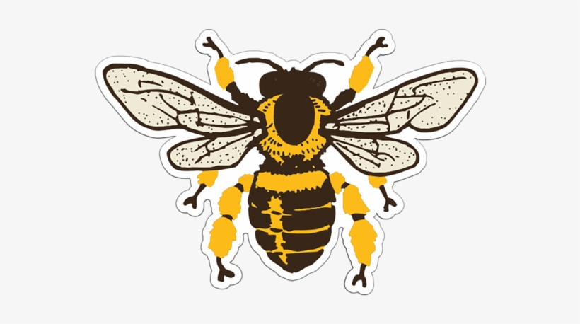 Popular - Bee Clip Art Free Black And White, transparent png download