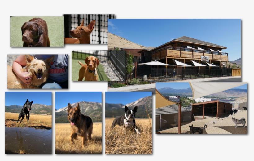 To Sign In - Collage, transparent png download