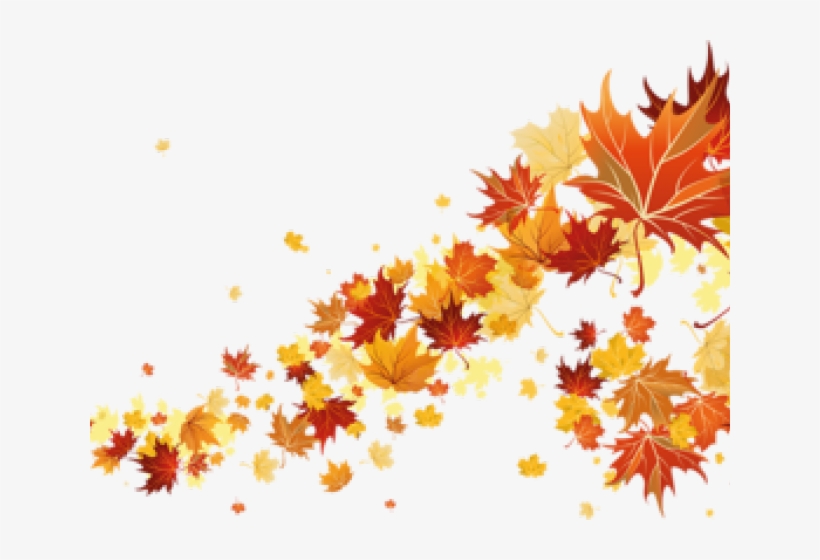 Autumn Png Transparent Images - Fall Transparent Leaf, transparent png download