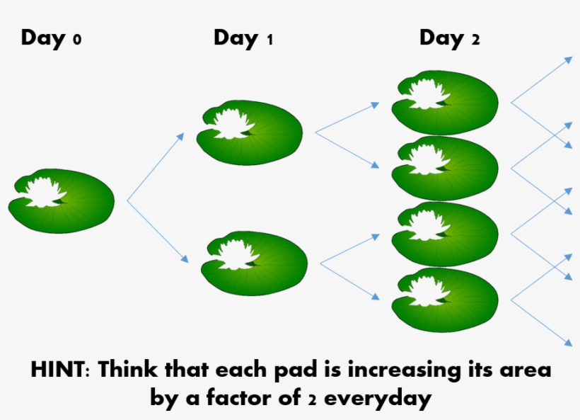 If Instead Of One Lily Pad You Start With Eight Lily - Diagram, transparent png download
