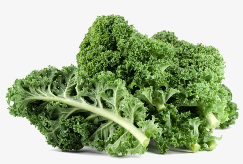 Download Kale Png File For Designing Project - Kale Png, transparent png download