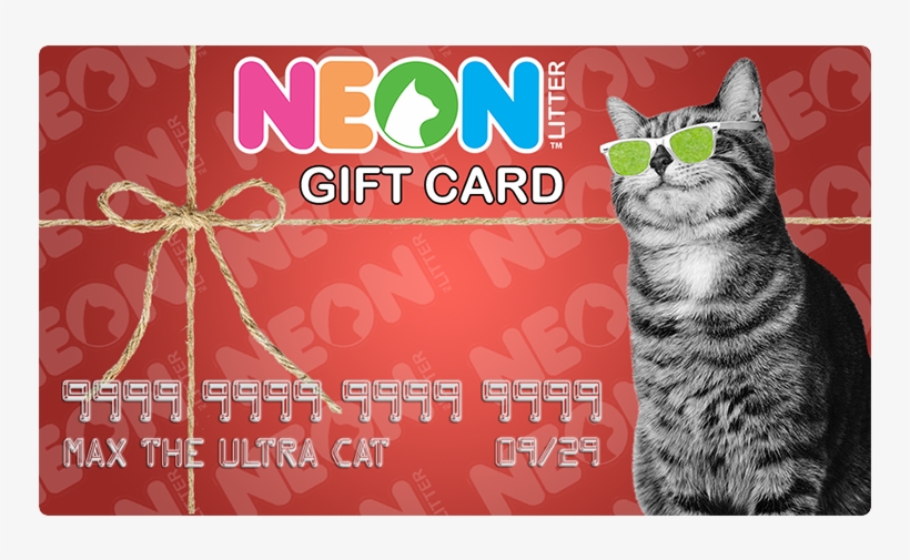 Tabby Cat, transparent png download