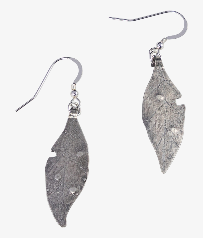 Leaf Litter Earrings - Earrings, transparent png download