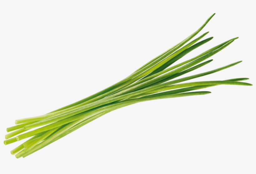 Chives Tomato Transparent Background - Erba Cipollina Png, transparent png download