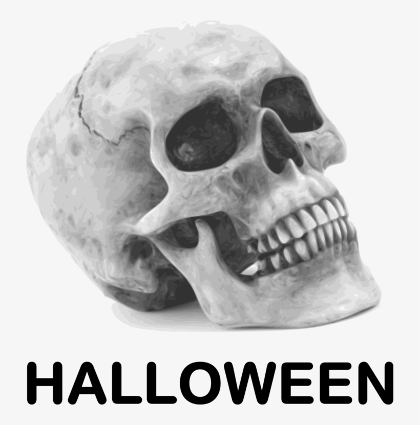 Calavera Human Skull Symbolism Halloween Drawing - Skull Public Domain, transparent png download