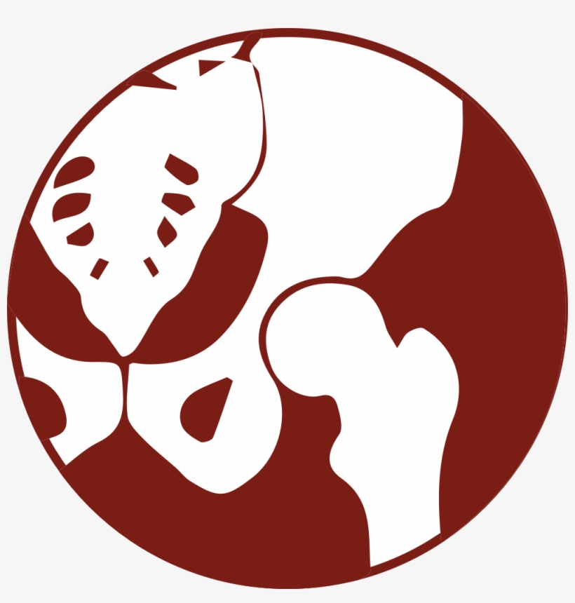 Hip Surgery, transparent png download