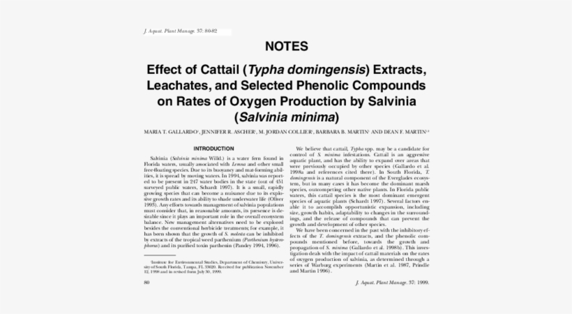 Pdf - Document, transparent png download
