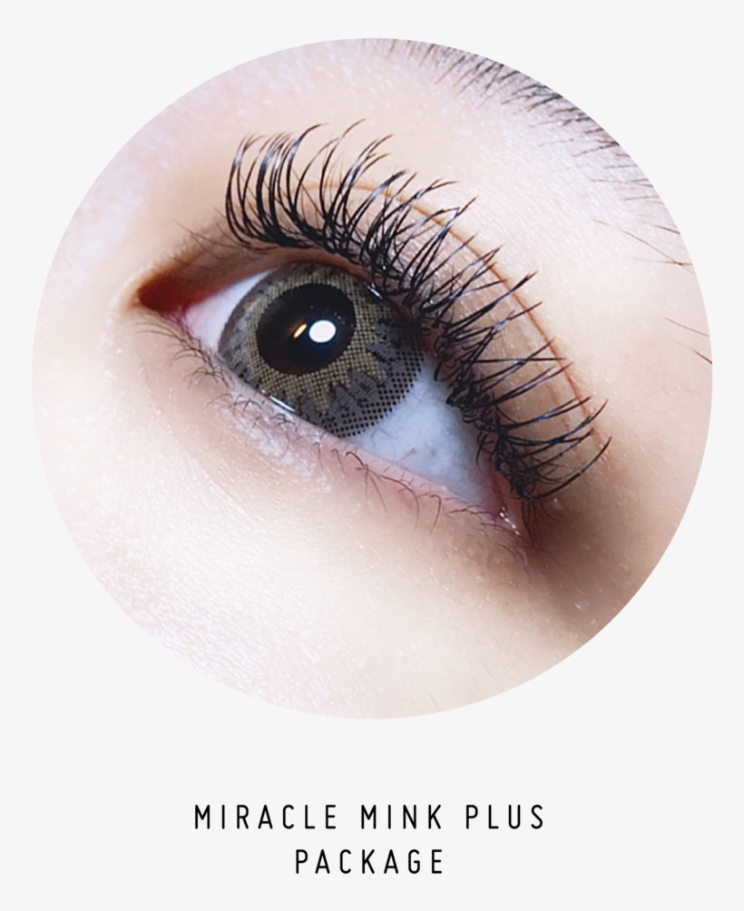 Miracle Mink Plus, transparent png download