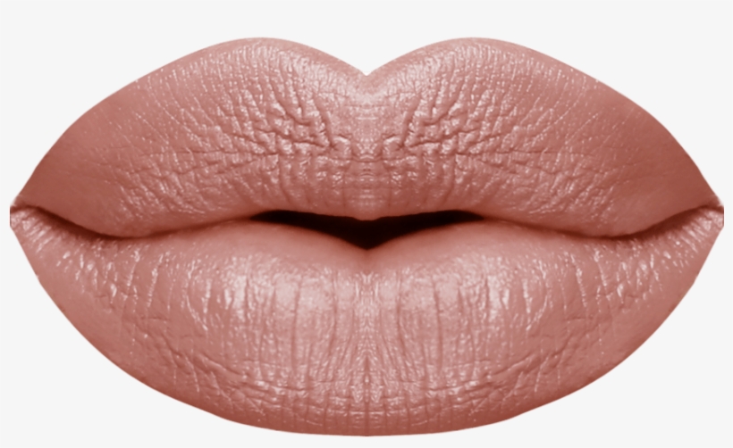 Jacqueline Intemporelle - Lip Gloss, transparent png download