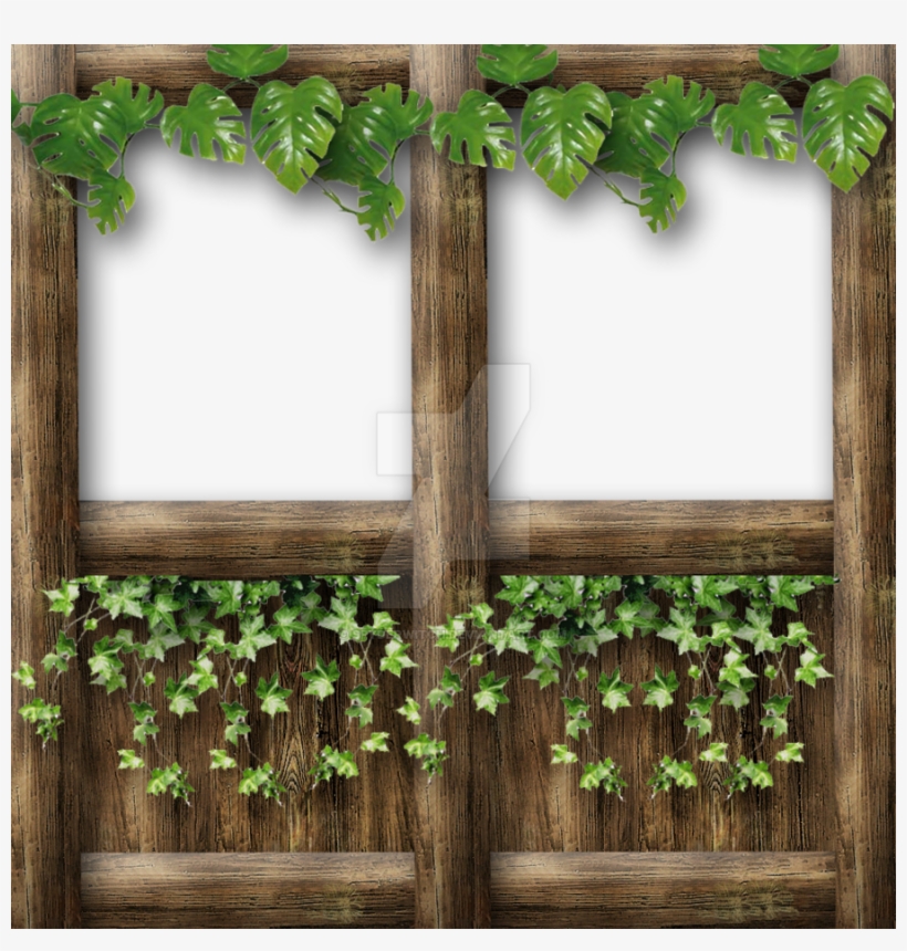 Half Wall With Top Frame Vine And Ivy By Spyderwitch - Window, transparent png download