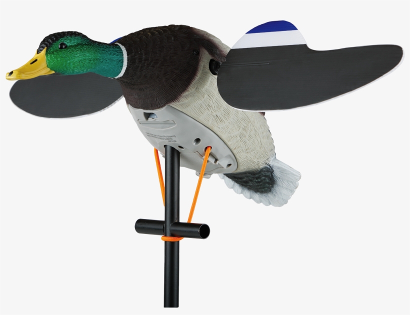 Lucky Duck Decoy, transparent png download