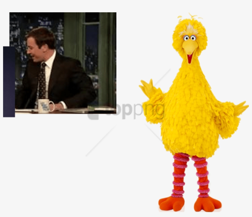 Free Png Download Snuffy Big Bird Elmo Png Images Background - Big Bird And Small Bird, transparent png download