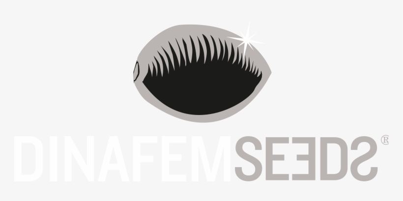 Dinafem Seeds Is A Seed Bank That Trades Internationally - Eyelash Extensions, transparent png download