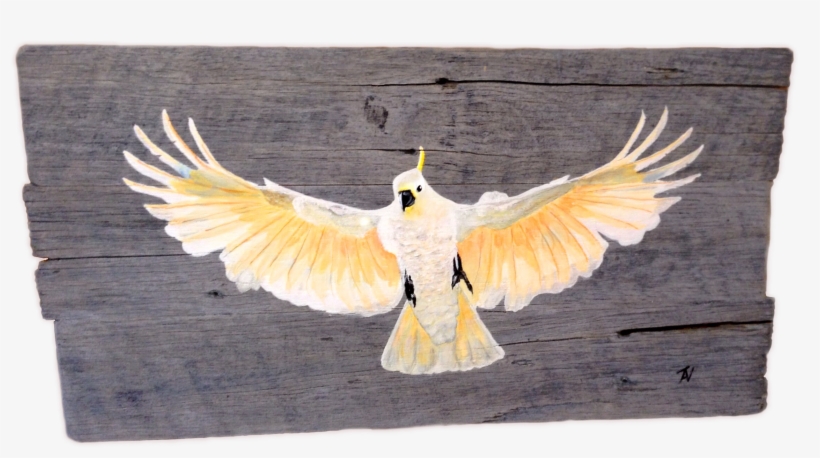 Img - Cockatiel, transparent png download