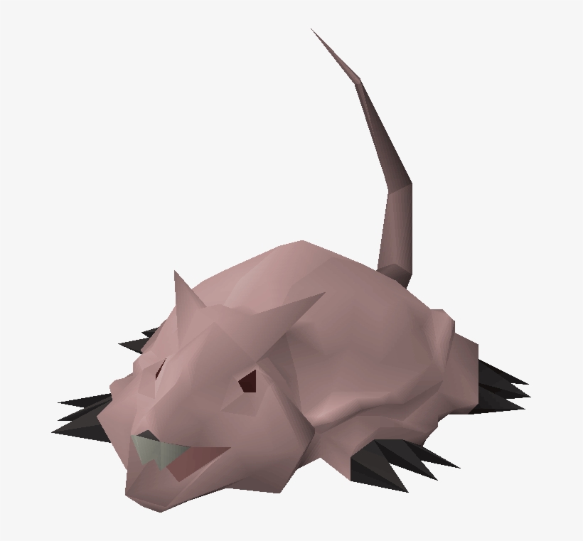 Black Rhinoceros, transparent png download