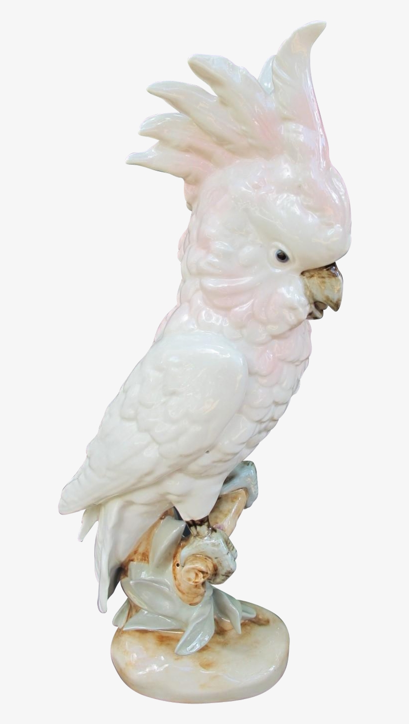 Life Sized Royal Dux Cockatoo Figurine - Cockatiel, transparent png download