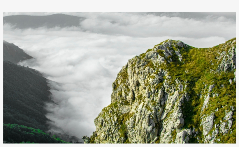 Score 50%, transparent png download