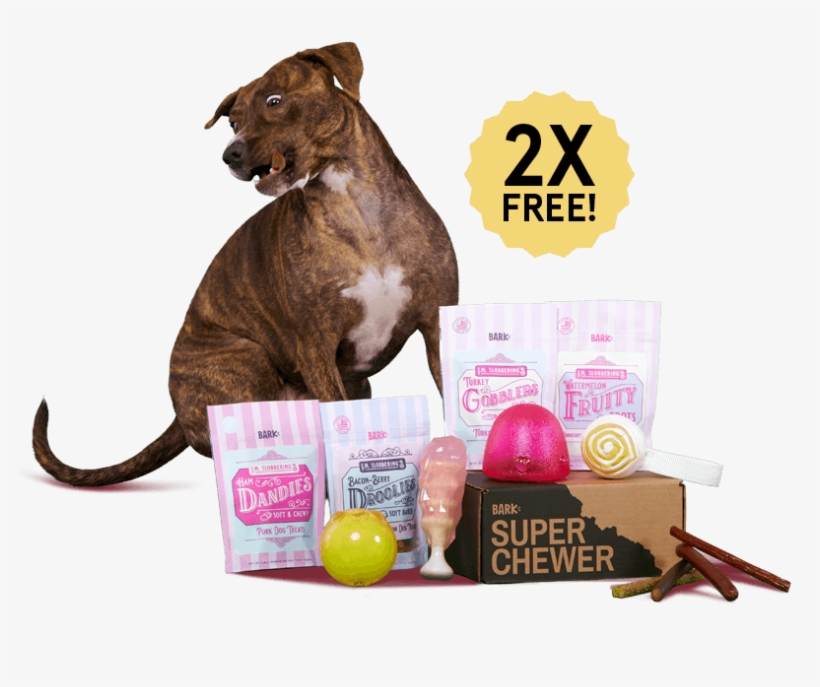 Barkbox, A Monthly Box Of Dog Goodies And Super-tough - Super Chewer Barkbox February 2019, transparent png download