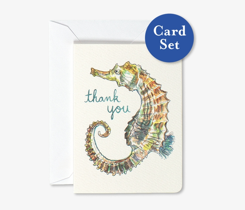 Seahorse Thank You Mini Card Set Of - Northern Seahorse, transparent png download