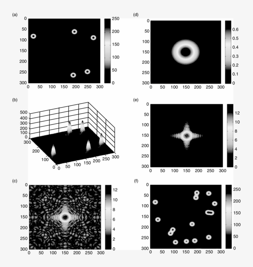 Simulation Carried Out For Several Times - Circle, transparent png download