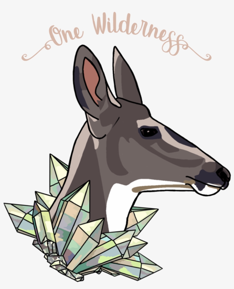 Deer - Kangaroo, transparent png download