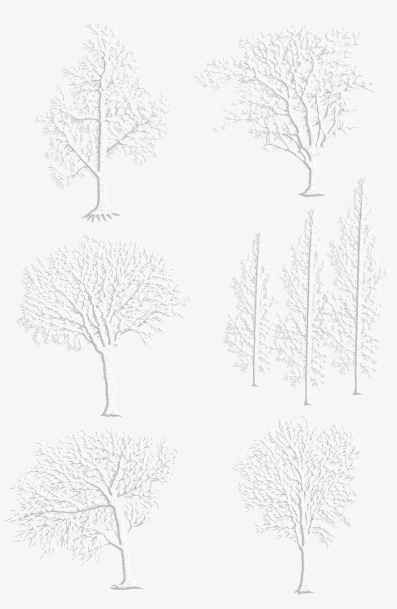 Original Hand Drawn Wind White Winter Png And Psd - ต้นไม้ แห้ง Png, transparent png download