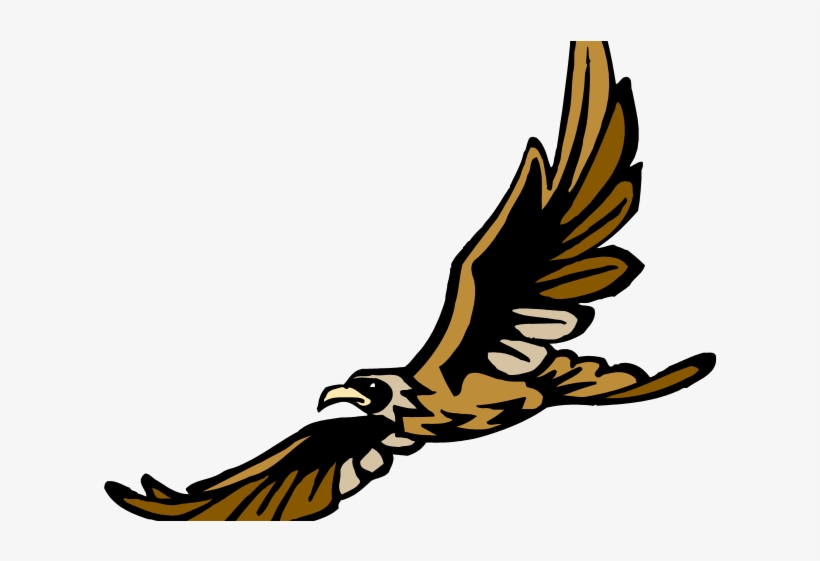 Golden Eagle Clipart Peregrine - Oakhaven High School Tn, transparent png download