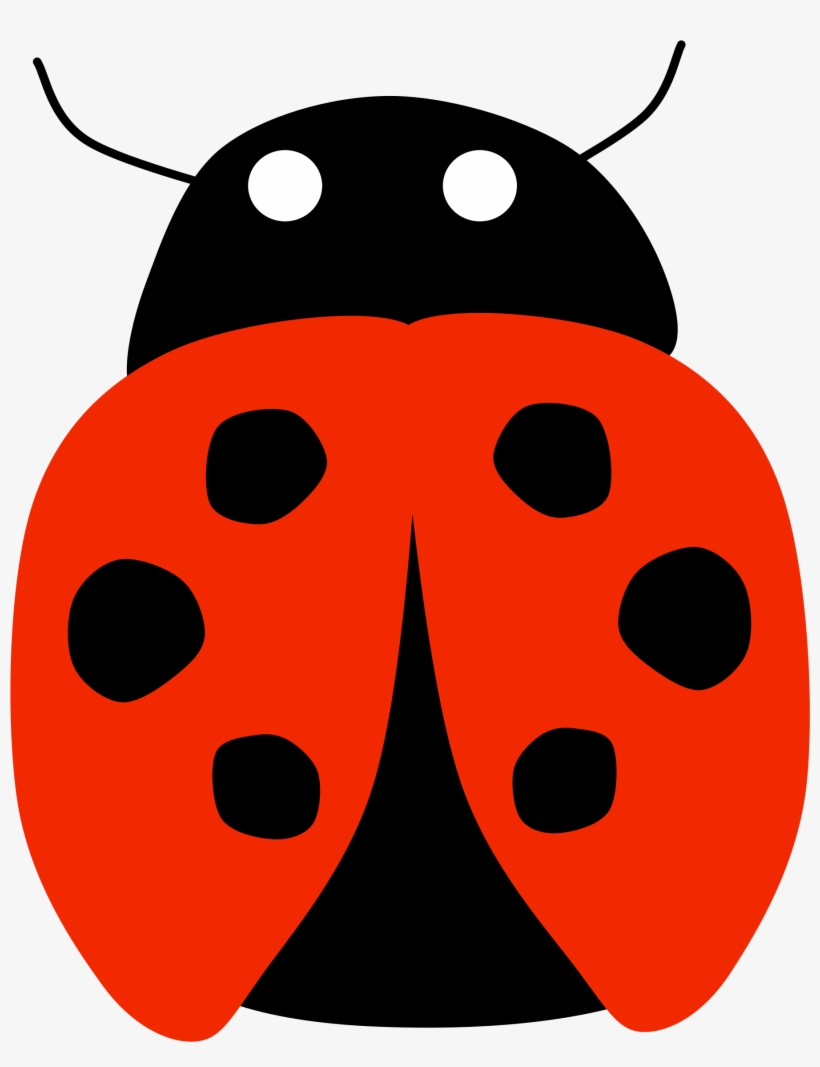 Big Image - Ladybird Beetle, transparent png download